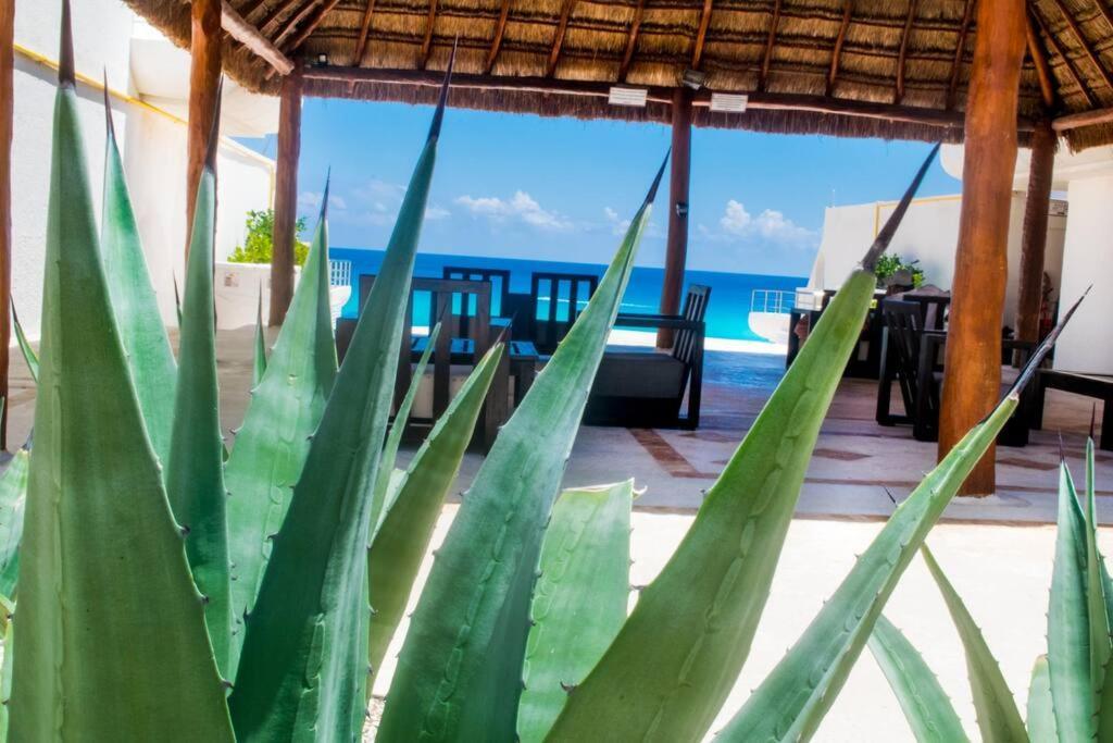 Ocean Front Villa Marlin, Best Location In Hotel Zone #109 Cancun Bagian luar foto